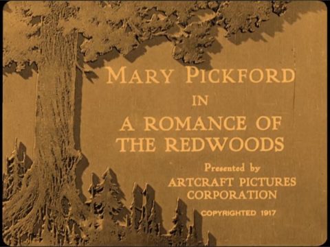 A Romance of The Redwoods (1917)